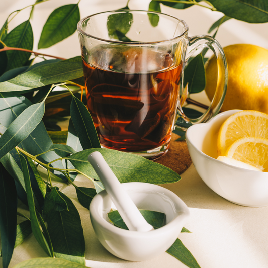 ERECO Herbal Tea/ Eucalyptus Mullein Tea to Naturally Clear Your Lungs